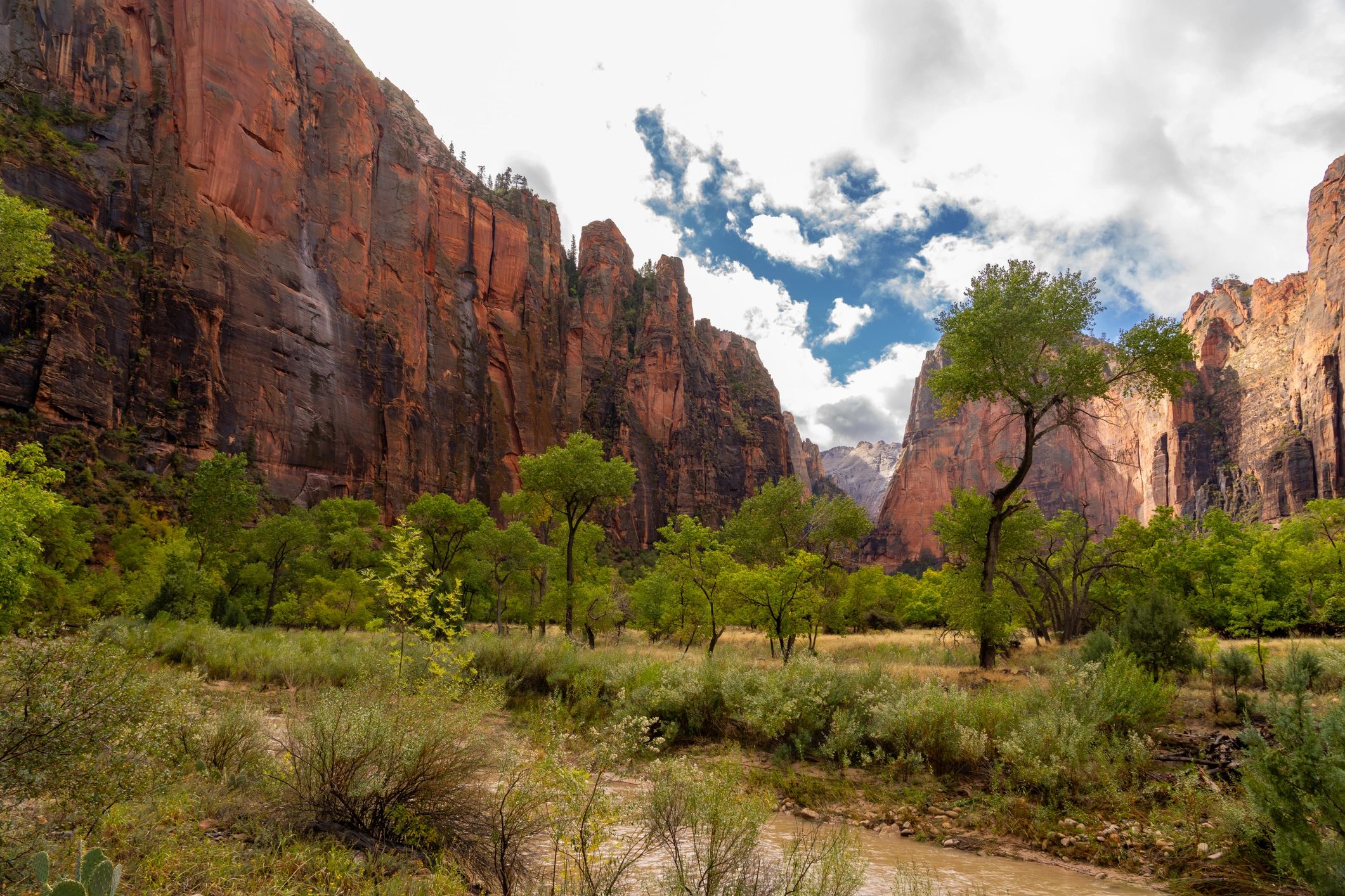 Utah landscape with river and red rock cliffs